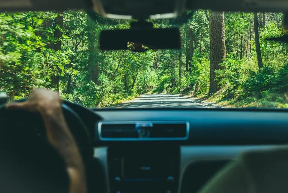 La route vue depuis le siège conducteur, à travers une forêt